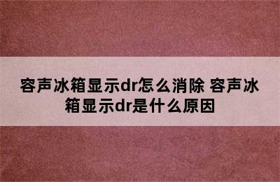 容声冰箱显示dr怎么消除 容声冰箱显示dr是什么原因